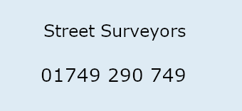 Street Surveyors